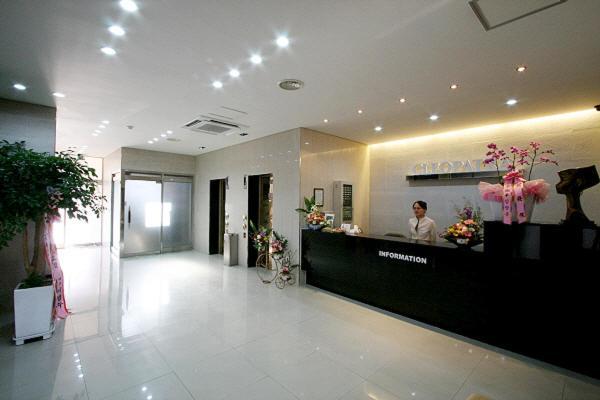 Hotel Cleopatra Ilsan Goyang Exterior photo